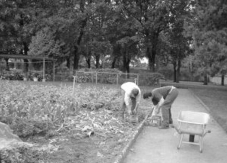 Jugendheim, Hollabrunn (A)
